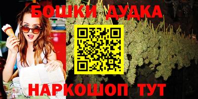 стаф Новокубанск