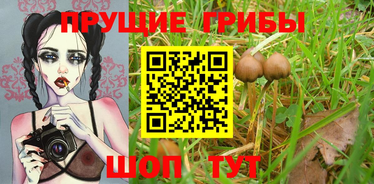 цены   Псилоцибиновые грибы Psilocybe  Вход с VPN  Соль-Илецк 